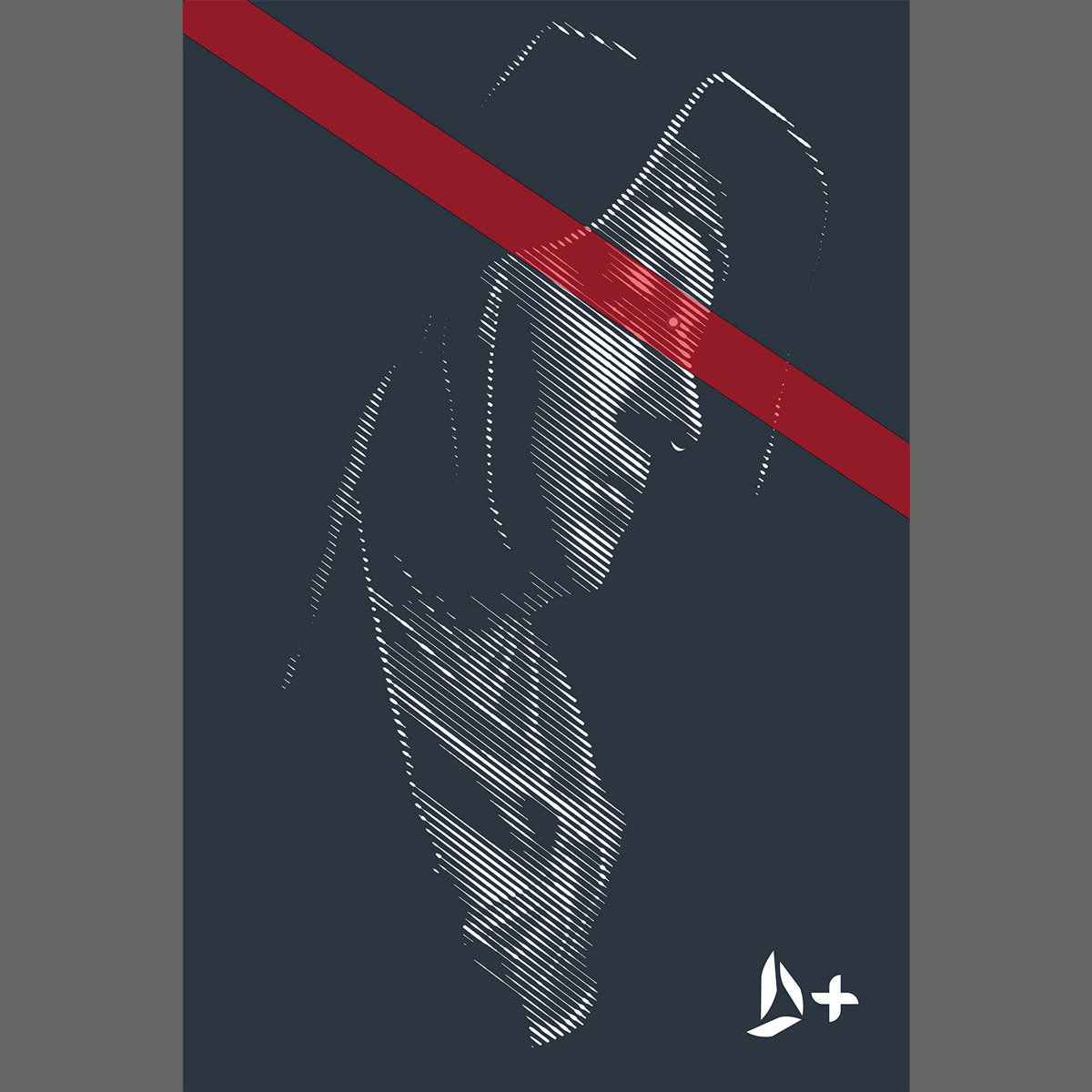 LVSM  (purple version) details